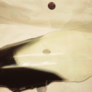 Bulle avant FES-SWING Honda 125