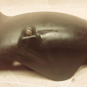 Garde boue arrière Honda FES-Swing